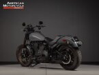 Thumbnail Photo 4 for 2022 Harley-Davidson Softail Low Rider S