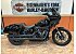 2022 Harley-Davidson Softail Low Rider ST