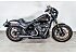 2022 Harley-Davidson Softail Low Rider S