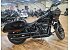 2022 Harley-Davidson Softail Low Rider ST
