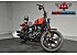 2022 Harley-Davidson Softail