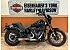 2022 Harley-Davidson Softail Low Rider S