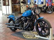 2022 Harley-Davidson Softail