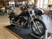 2022 Harley-Davidson Softail