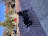 2022 Harley-Davidson Softail Low Rider ST