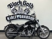 2022 Harley-Davidson Softail Standard