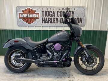 2022 Harley-Davidson Softail Low Rider S