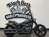 2022 Harley-Davidson Softail Street Bob 114