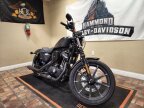 Thumbnail Photo 1 for New 2022 Harley-Davidson Sportster Iron 883