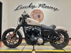 Thumbnail Photo 4 for 2022 Harley-Davidson Sportster