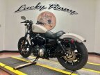 Thumbnail Photo 5 for 2022 Harley-Davidson Sportster