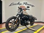 Thumbnail Photo 3 for 2022 Harley-Davidson Sportster