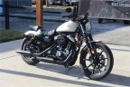 Thumbnail Photo 2 for 2022 Harley-Davidson Sportster Iron 883