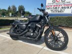 Thumbnail Photo 1 for 2022 Harley-Davidson Sportster Iron 883