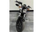 Thumbnail Photo 3 for 2022 Harley-Davidson Sportster Forty-Eight