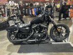 Thumbnail Photo 4 for 2022 Harley-Davidson Sportster