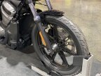 Thumbnail Photo 1 for 2022 Harley-Davidson Sportster