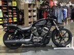 Thumbnail Photo 4 for 2022 Harley-Davidson Sportster