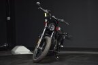 Thumbnail Photo 2 for 2022 Harley-Davidson Sportster