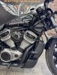 Thumbnail Photo 1 for 2022 Harley-Davidson Sportster Nightster