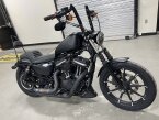 Thumbnail Photo 1 for 2022 Harley-Davidson Sportster
