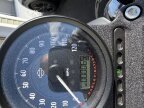 Thumbnail Photo 2 for 2022 Harley-Davidson Sportster Iron 883 for Sale by Owner