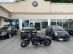 Thumbnail Photo 1 for 2022 Harley-Davidson Sportster