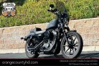 Thumbnail Photo 4 for 2022 Harley-Davidson Sportster Iron 883