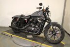 Thumbnail Photo 2 for 2022 Harley-Davidson Sportster Iron 883