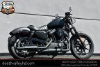 Thumbnail Photo 5 for 2022 Harley-Davidson Sportster Iron 883