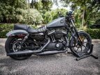 Thumbnail Photo 4 for 2022 Harley-Davidson Sportster Iron 883
