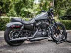Thumbnail Photo 3 for 2022 Harley-Davidson Sportster Iron 883