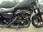 Thumbnail Photo 6 for 2022 Harley-Davidson Sportster