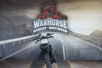 Thumbnail Photo 3 for 2022 Harley-Davidson Sportster Forty-Eight