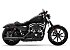 2022 Harley-Davidson Sportster Iron 883