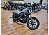 2022 Harley-Davidson Sportster Iron 883