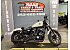 2022 Harley-Davidson Sportster Iron 883