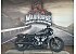 2022 Harley-Davidson Sportster Nightster