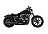2022 Harley-Davidson Sportster Iron 883
