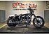 2022 Harley-Davidson Sportster Iron 883