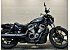 2022 Harley-Davidson Sportster Nightster