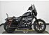 2022 Harley-Davidson Sportster Iron 883