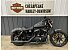 2022 Harley-Davidson Sportster Iron 883