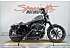 2022 Harley-Davidson Sportster Iron 883