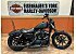 2022 Harley-Davidson Sportster Iron 883