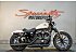 2022 Harley-Davidson Sportster Iron 883