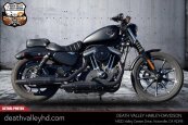 2022 Harley-Davidson Sportster Iron 883