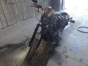 2022 Harley-Davidson Sportster Iron 883