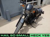 2022 Harley-Davidson Sportster Iron 883