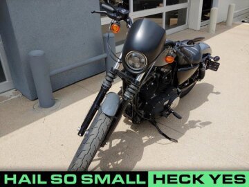 2022 Harley-Davidson Sportster Iron 883